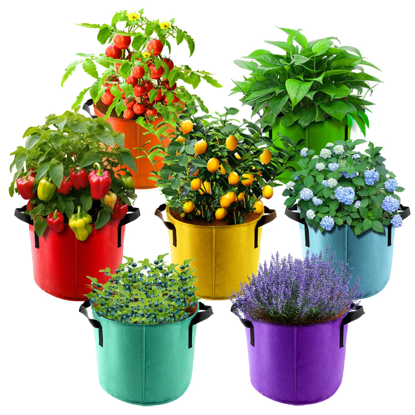 5 Gallon Grow Bags 7 Pack Colorful Fabric Plant Pots with Handles for Garden and Outdoor Planting