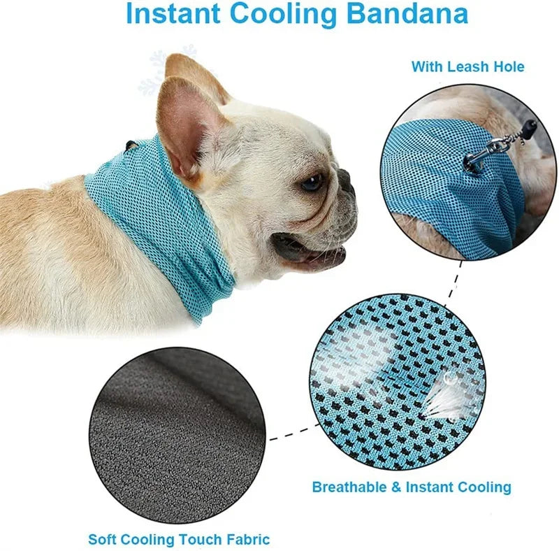 Summer Ice Dog Collar Reusable Cooling Bandana with Leash Hole Prevent Heat Stroke Outdoor Breathable Pet Scarf