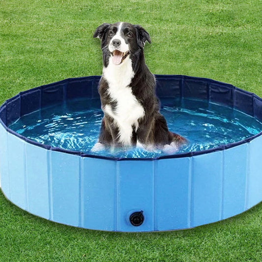 Dog Swimming Pool and Pool Cover Portable Plastic Grooming Tub for Large Dogs