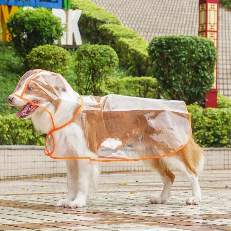 Pet Dog Angel Raincoat Waterproof Summer Poncho for Small Dogs Dog Accessories