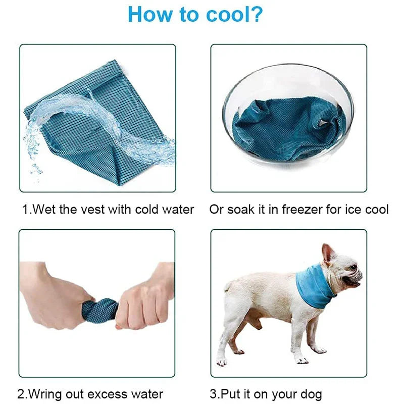Summer Ice Dog Collar Reusable Cooling Bandana with Leash Hole Prevent Heat Stroke Outdoor Breathable Pet Scarf