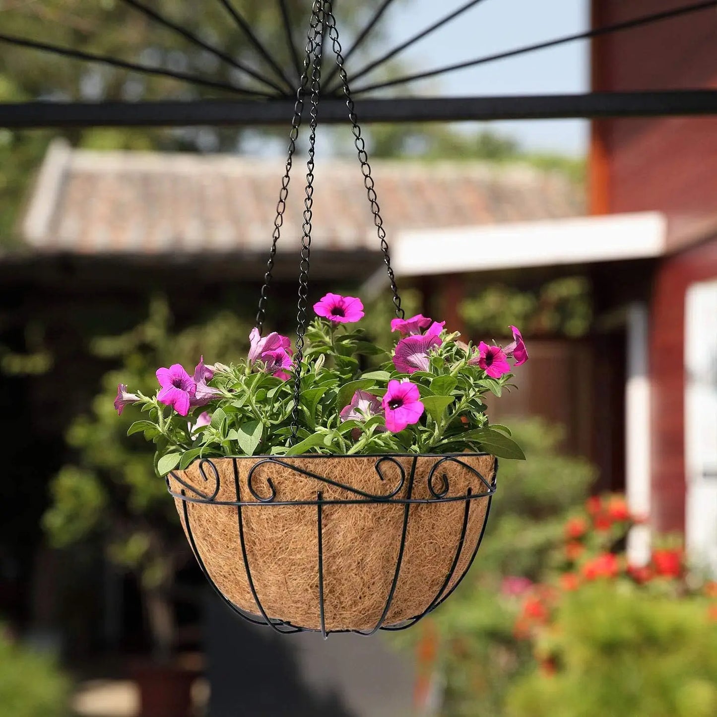 Metal Hanging Planter Basket Round Wire Plant Holder Chain Porch Decor Flower Pot Hanger Garden Decoration Indoor Outdoor